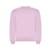 Свитшот с начесом «Clasica» унисекс арт. 107048