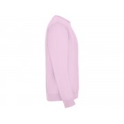 Свитшот с начесом «Clasica» унисекс арт. 107048