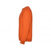 Свитшот с начесом «Clasica» унисекс арт. 107031