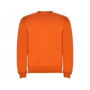 Свитшот с начесом «Clasica» унисекс арт. 107031