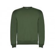 Свитшот с начесом «Clasica» унисекс арт. 1070152