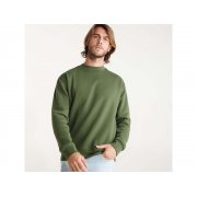 Свитшот с начесом «Clasica» унисекс арт. 1070152