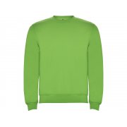 Свитшот с начесом «Clasica» унисекс арт. 1070114