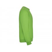 Свитшот с начесом «Clasica» унисекс арт. 1070114