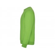 Свитшот с начесом «Clasica» унисекс арт. 1070114