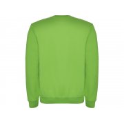 Свитшот с начесом «Clasica» унисекс