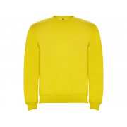 Свитшот с начесом «Clasica» унисекс арт. 107003