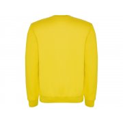 Свитшот с начесом «Clasica» унисекс арт. 107003