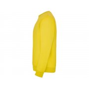 Свитшот с начесом «Clasica» унисекс арт. 107003