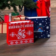 Пакет малый BLUE WONDER размер 32 x 27 x 11 см Белый