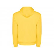 Толстовка с капюшоном «Capucha» мужская арт. 108703