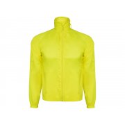 Ветровка «Kentucky» мужская