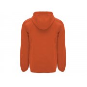 Куртка софтшелл «Siberia» мужская арт. 6428311