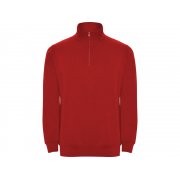 Свитшот «Aneto» мужской арт. 110960