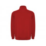 Свитшот «Aneto» мужской арт. 110960