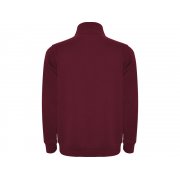 Свитшот «Aneto» мужской арт. 110957