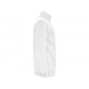 Свитшот «Aneto» мужской арт. 110901