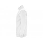 Свитшот «Aneto» мужской арт. 110901