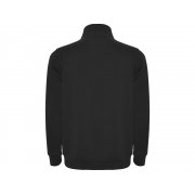 Свитшот «Aneto» мужской арт. 110902