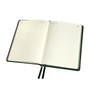 Ежедневник недатированный Softie, формат А5, в клетку Зеленый