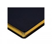 Ежедневник недатированный А5 «Megapolis»