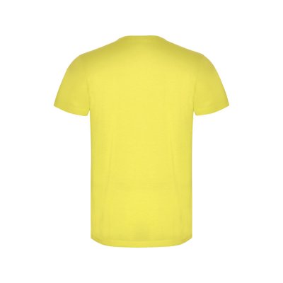 Футболка «Akita» мужская арт. 6534CA221