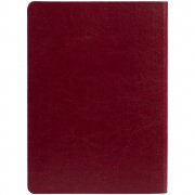 Ежедневник Nebraska Flex, недатированный, бордовый с золотистым