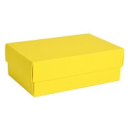 Коробка картонная, "COLOR" 11,5*6*17 см; желтый Жёлтый