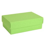 Коробка картонная, "COLOR" 11,5*6*17 см; зеленое яблоко Зеленое яблоко