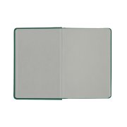 Ежедневник недатированный Campbell, формат А5, в линейку Зеленый