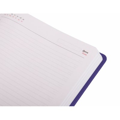 Ежедневник недатированный Duncan, формат А5,  в линейку Фиолетовый