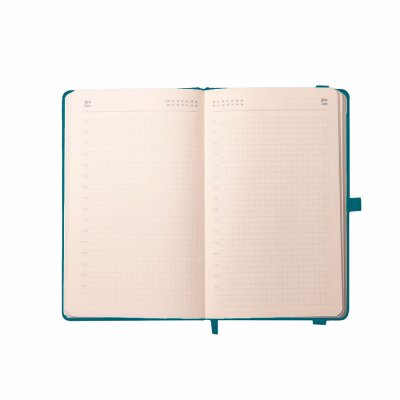 Ежедневник недатированный Starry , формат А5, в клетку Голубой