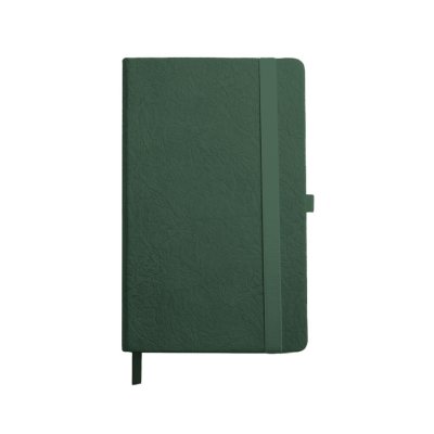 Ежедневник недатированный Starry , формат А5, в клетку Зеленый