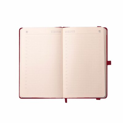 Ежедневник недатированный Starry , формат А5, в клетку Красный
