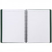 Ежедневник Spring Shall, недатированный, зеленый арт. 15215.90