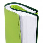 Ежедневник Spring Shall, недатированный, зеленый арт. 15215.90