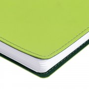 Ежедневник Spring Shall, недатированный, зеленый арт. 15215.90