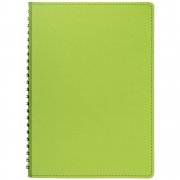 Ежедневник Spring Shall, недатированный, зеленый арт. 15215.90