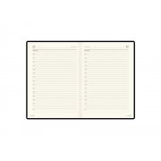 Ежедневник недатированный А5+ «Persona»