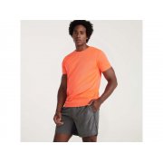 Спортивная футболка «Imola» мужская арт. 427CA223