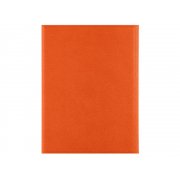 Обложка на магнитах для автодокументов и паспорта «Favor»