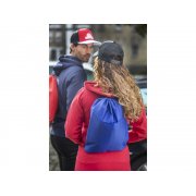 Сумка-холодильник «Oriole» на 12 банок