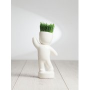 Набор для выращивания Funky Buddy