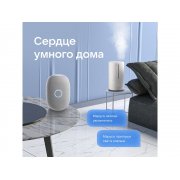 Умная колонка VK «Капсула» с голосовым помощником Марусей, 30 Вт