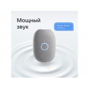 Умная колонка VK «Капсула» с голосовым помощником Марусей, 30 Вт