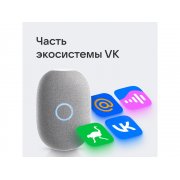 Умная колонка VK «Капсула» с голосовым помощником Марусей, 30 Вт