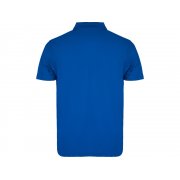 Рубашка поло «Austral» мужская арт. 663205