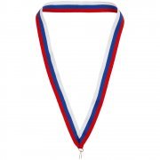 Лента с карабином Champ, триколор арт. 15513.45