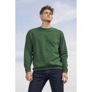 Толстовка свитшот SPIDER 260 Черный арт. 701168.312