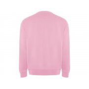 Свитшот из органического хлопка «Batian», унисекс арт. 1071SU48